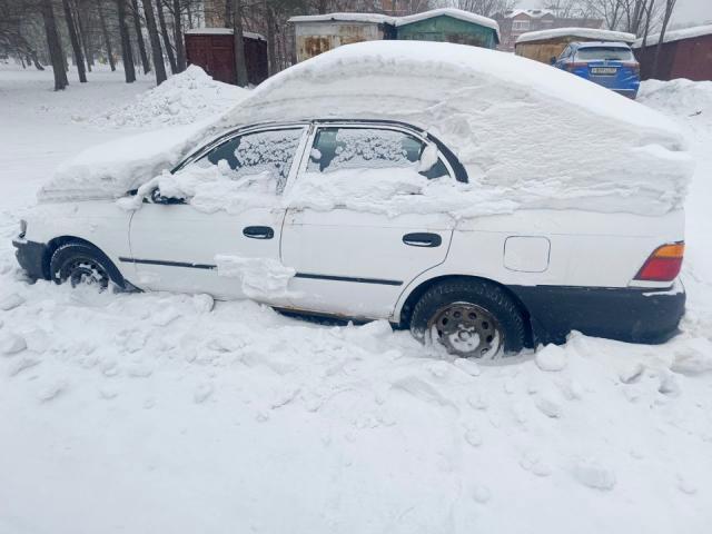 Лот 4013019
